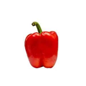 Red Bell Peppers